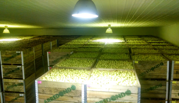 Cámara Frigorífica de Block y Concreto